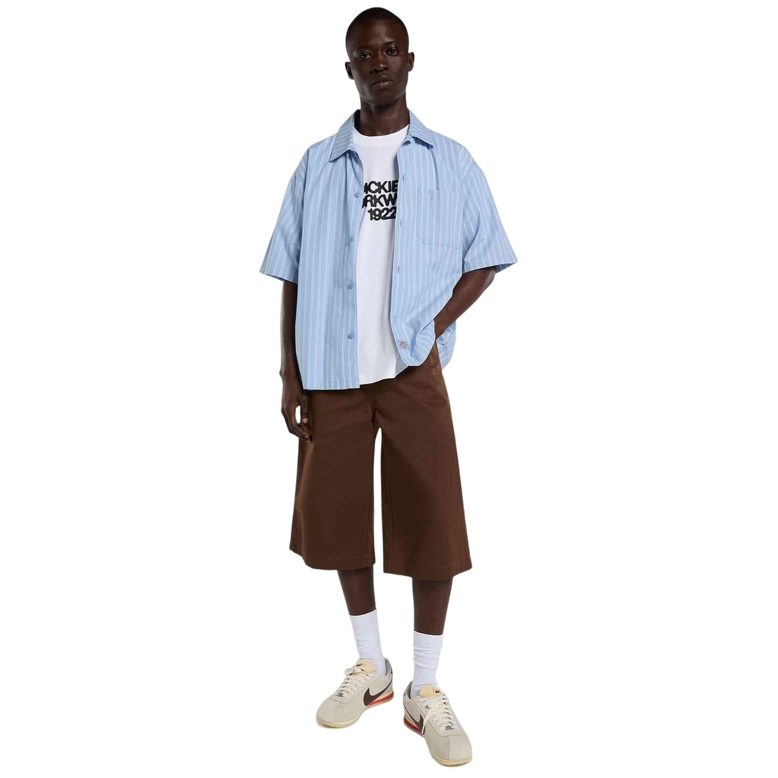 T-shirt Dickies modèle DK0A88890WH1 pour unisexe 2/3