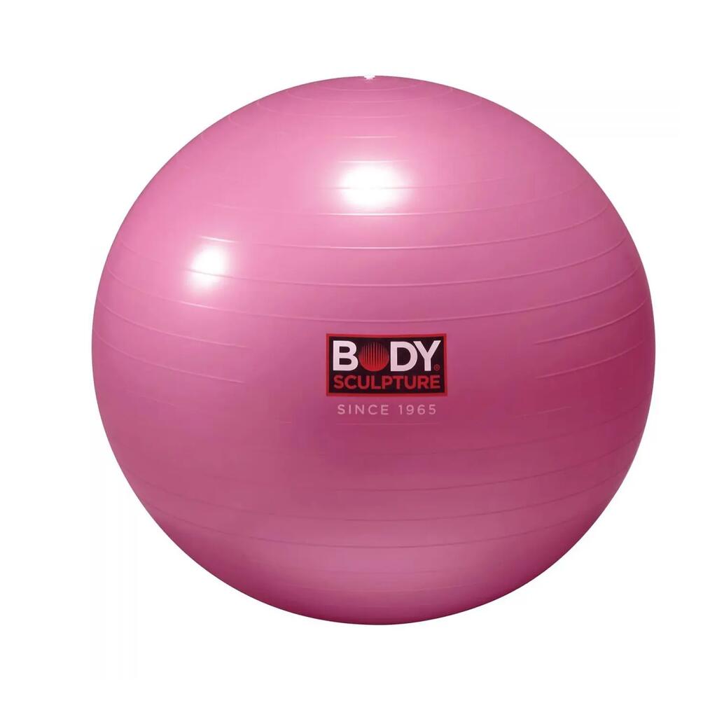 AntiBurst Exercise Ball (Pink) One Size