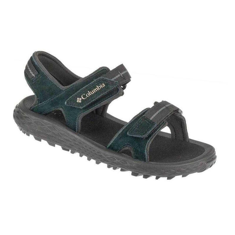 0bfd9256-8757-42d2-8b9a-771401e4b2e8_c1c9