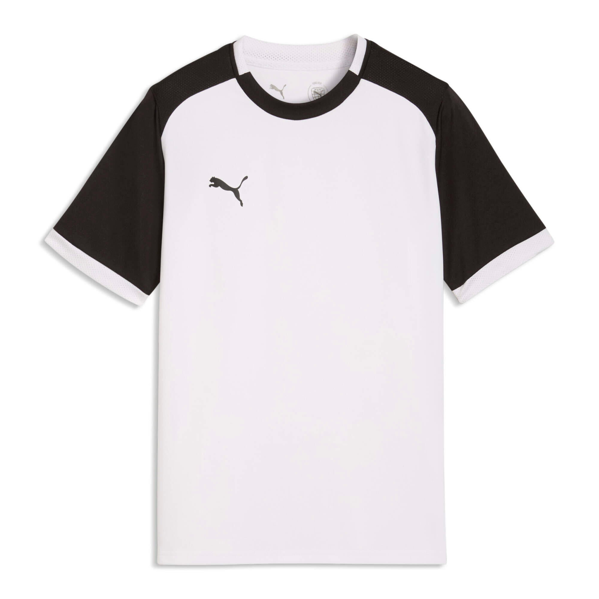 PUMA picture