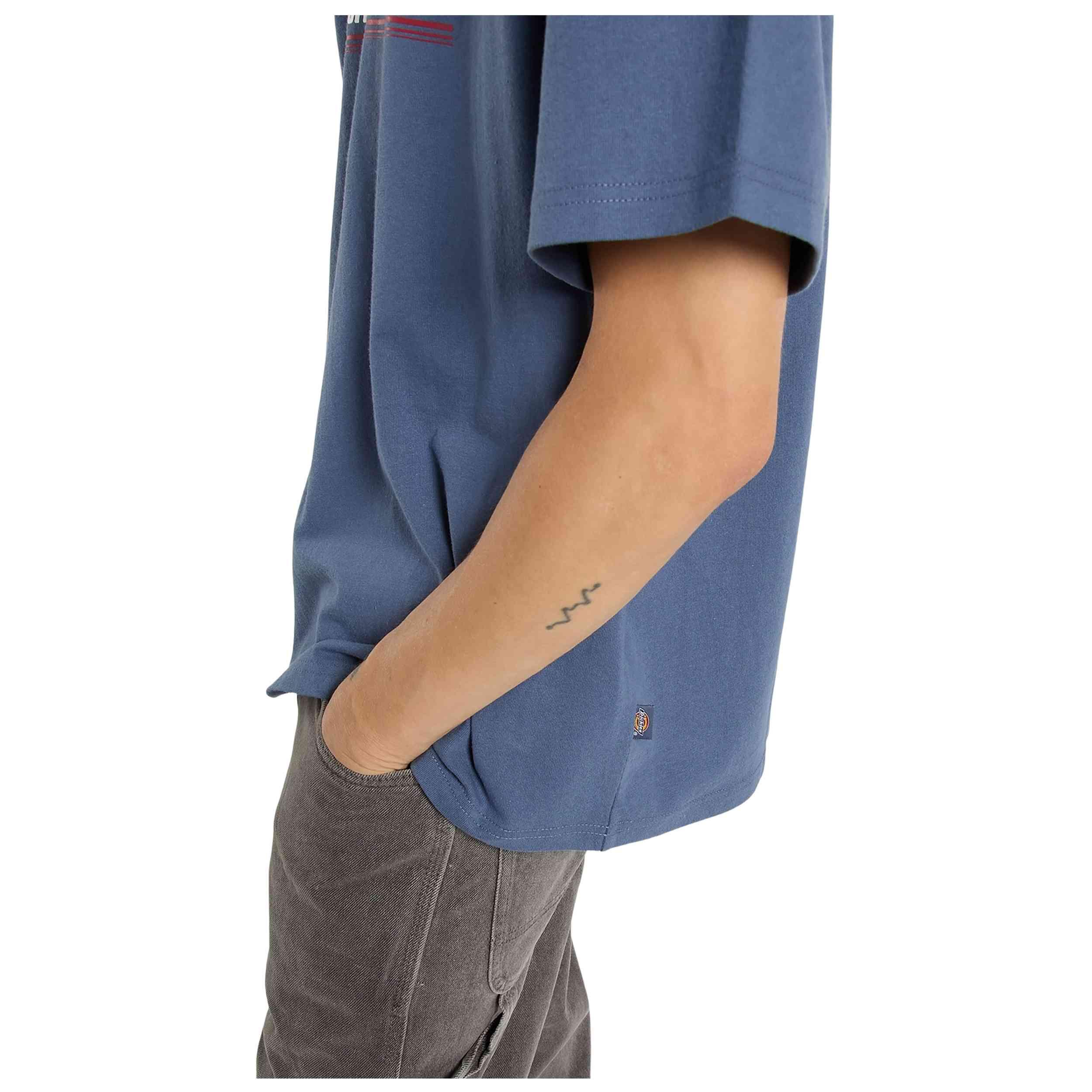 T-shirt met korte mouwen Dickies model DK0A88JGRI21 voor mannen 5/5