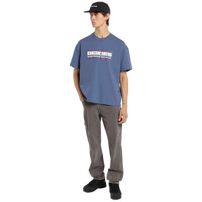 T-shirt met korte mouwen dickies model dk0a88jgri21 voor mannen