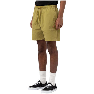 Korte broek dickies model dk0a4xb2c321 voor mannen