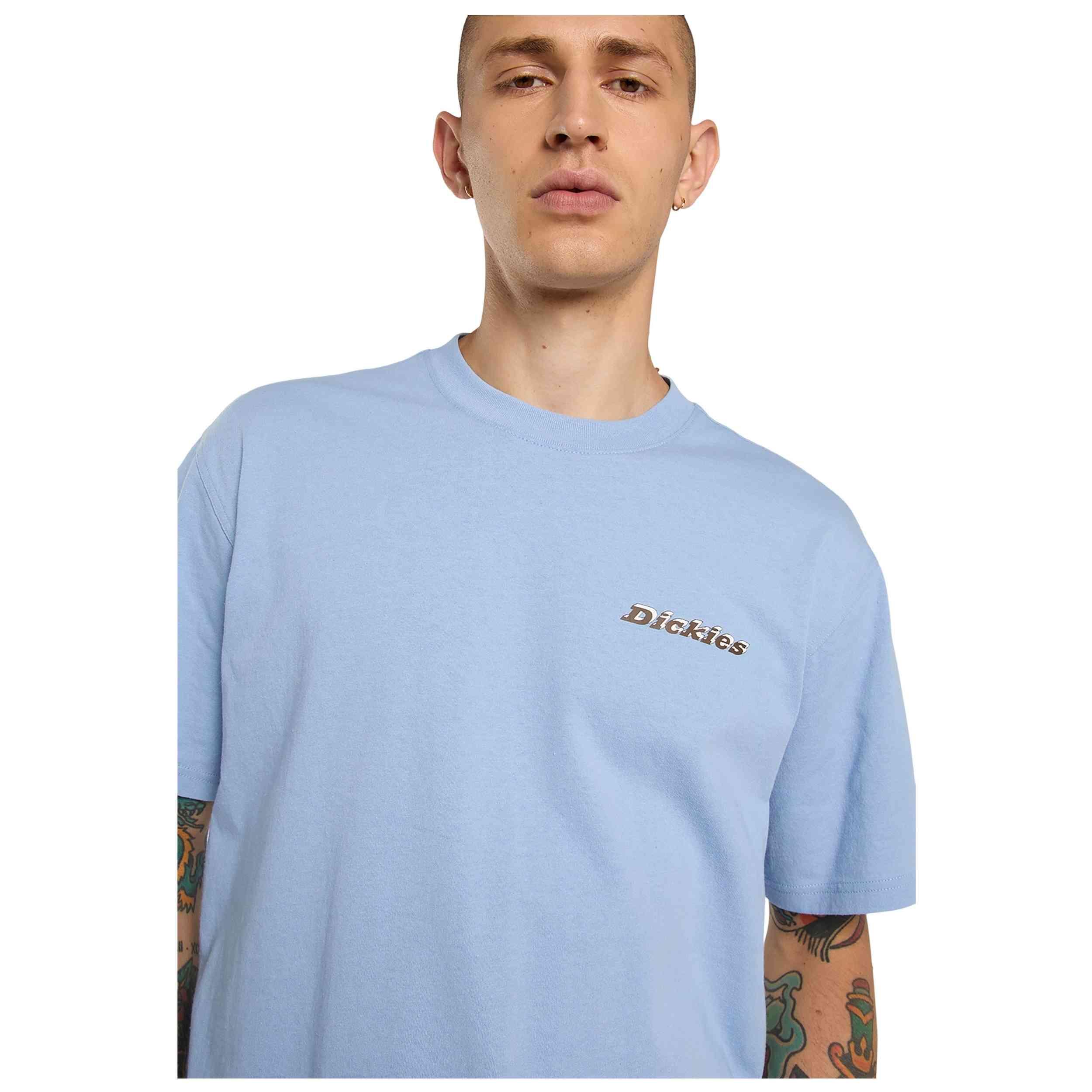 Maglia a maniche corte Dickies modello DK0A8854L391 per uomini 5/5