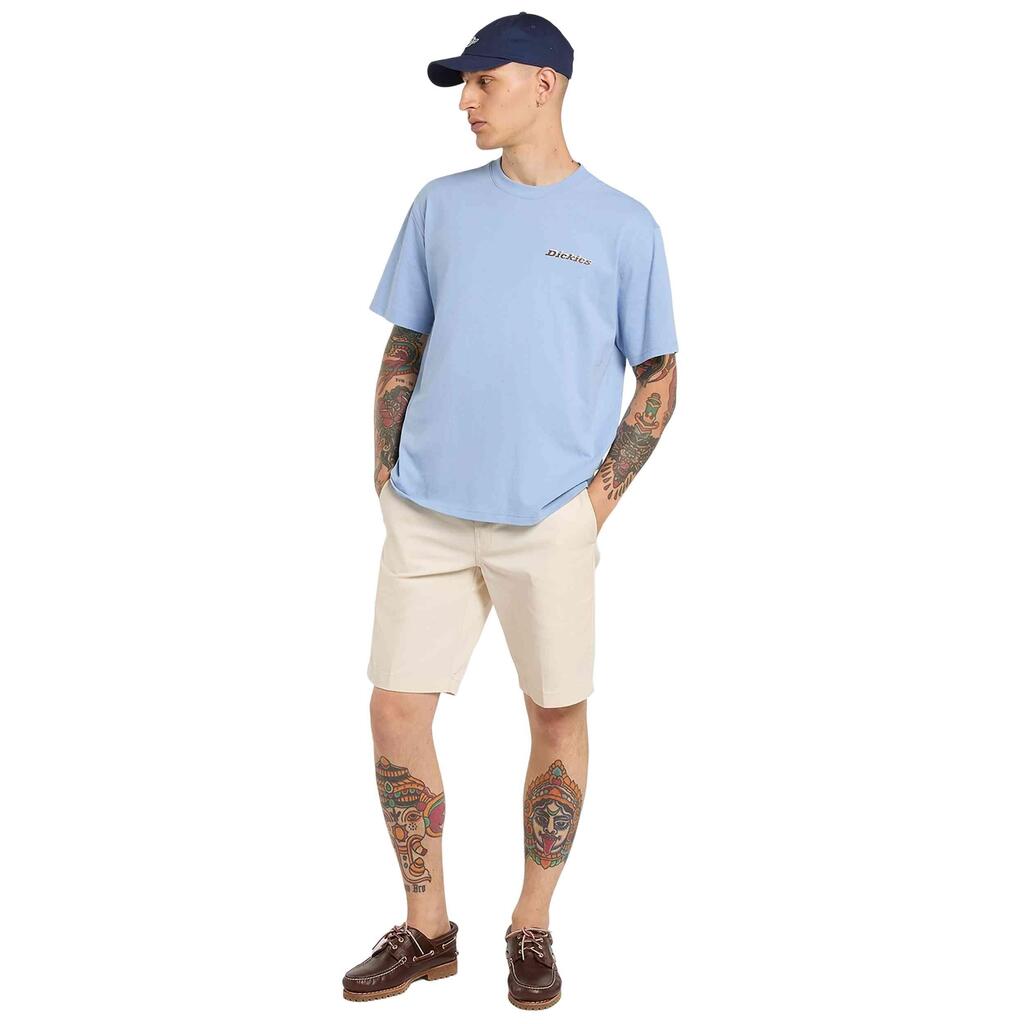 T-shirt Dickies model DK0A8854L391 for man
