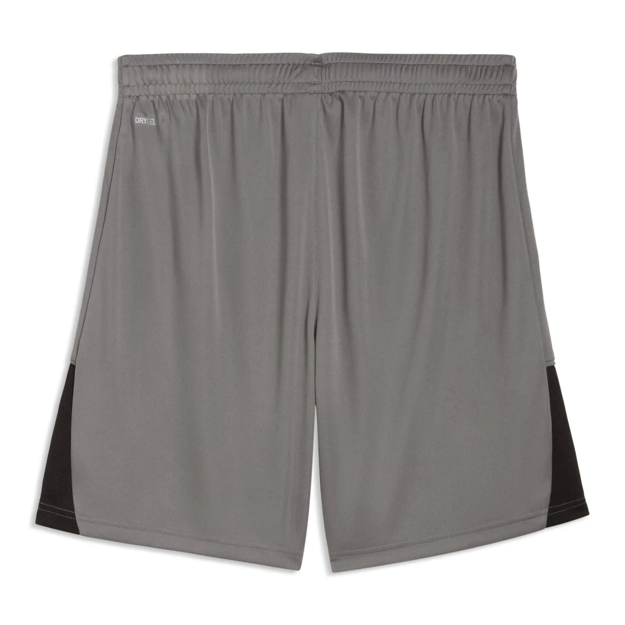 Puma Herren Short teamLIGA26 Shorts 706554 2/2