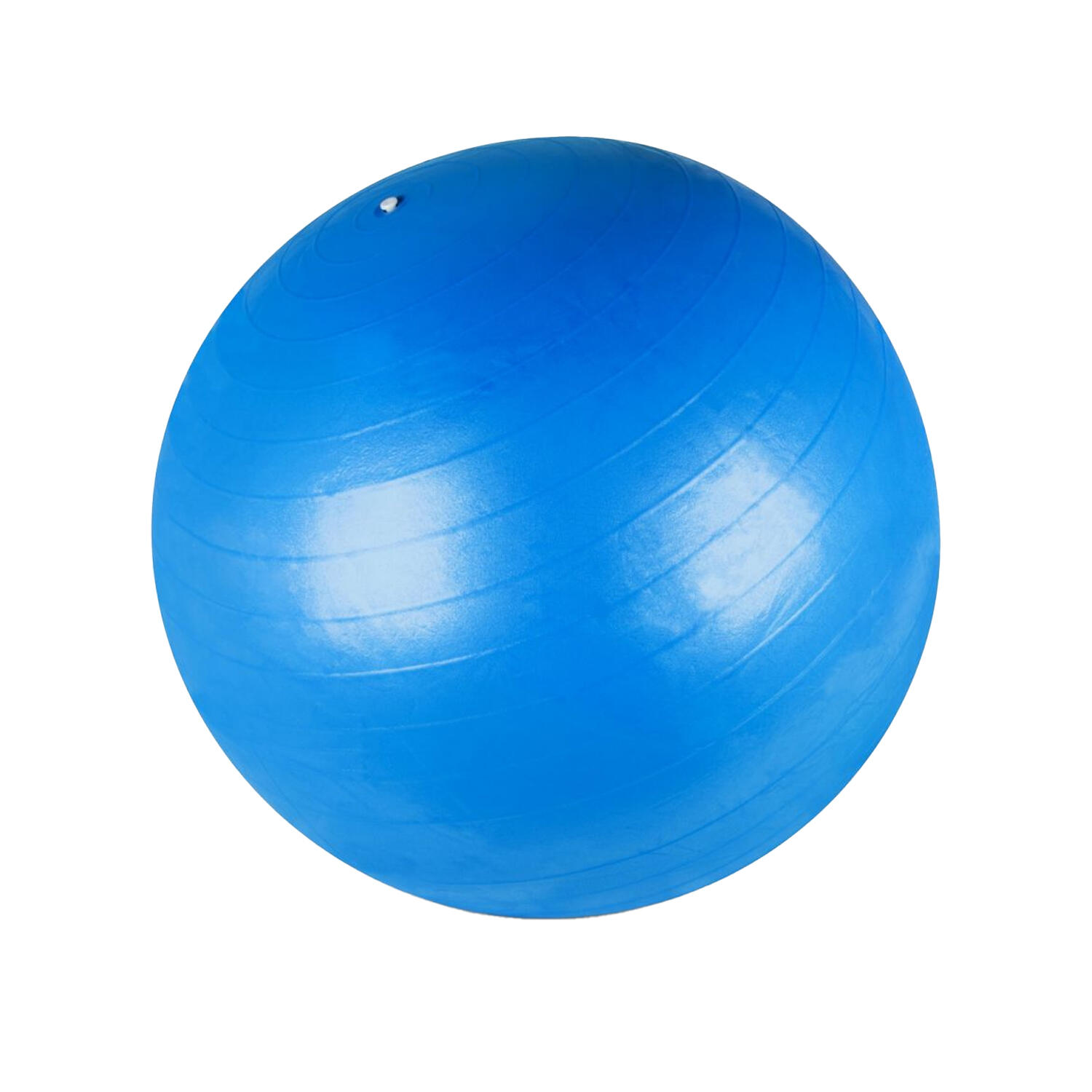 Balón de Ejercicio de Antiexplosión Azul Talla Única 3/5