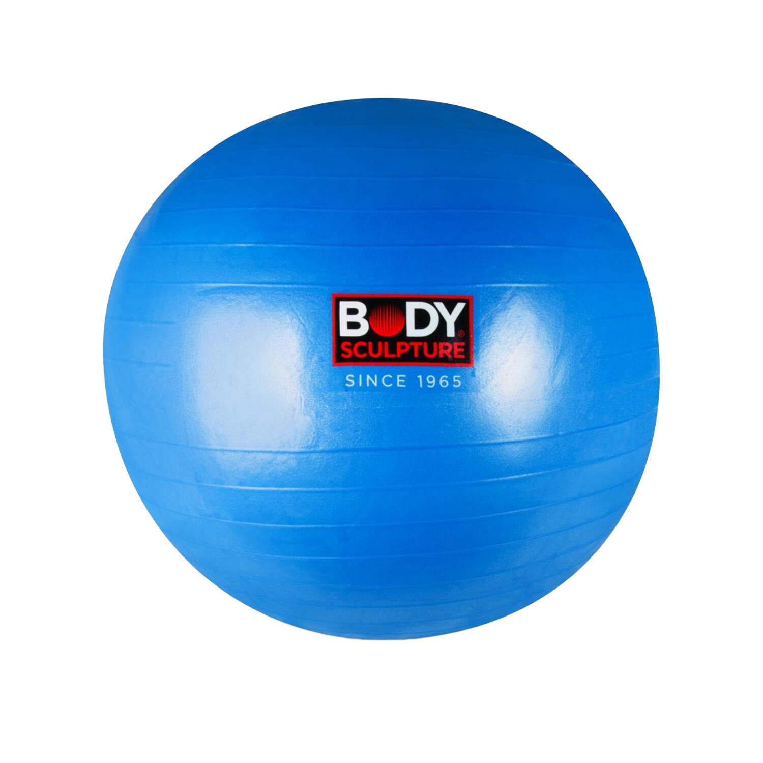Balón de Ejercicio de Antiexplosión Azul Talla Única 2/5