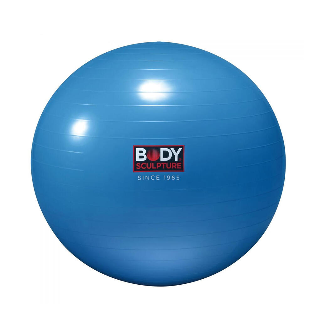 AntiBurst Exercise Ball (Blue) One Size