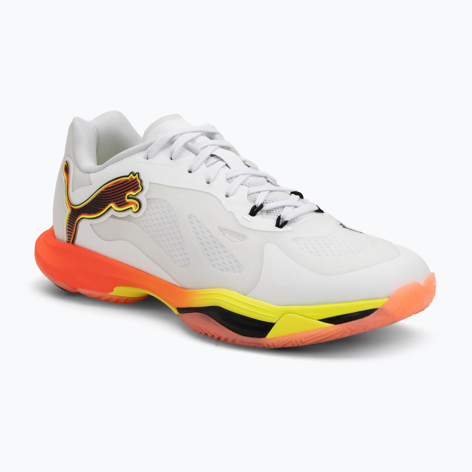 PUMA picture