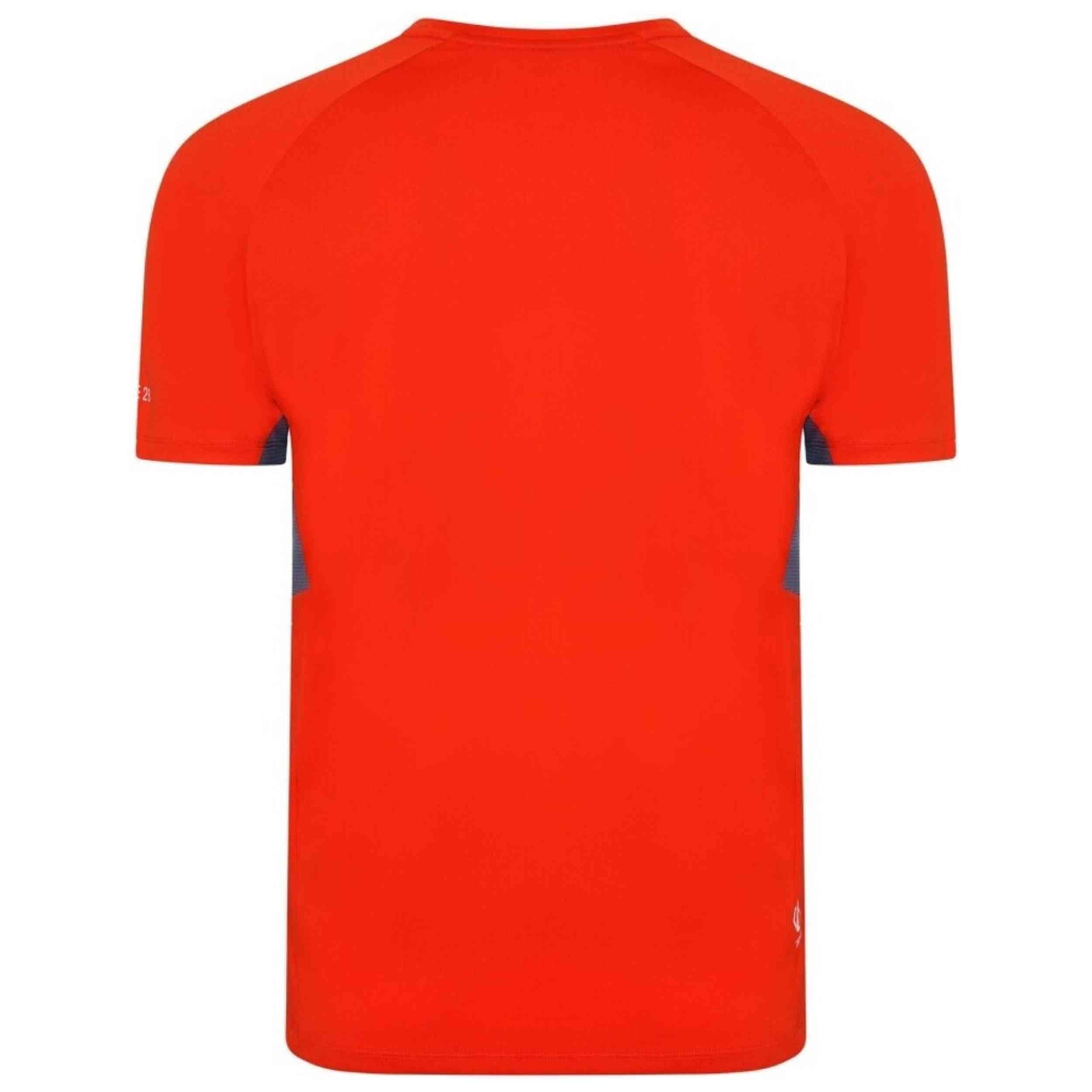 Maglia a maniche corte Dare 2b modello DMT596-PRG per uomini 3/3