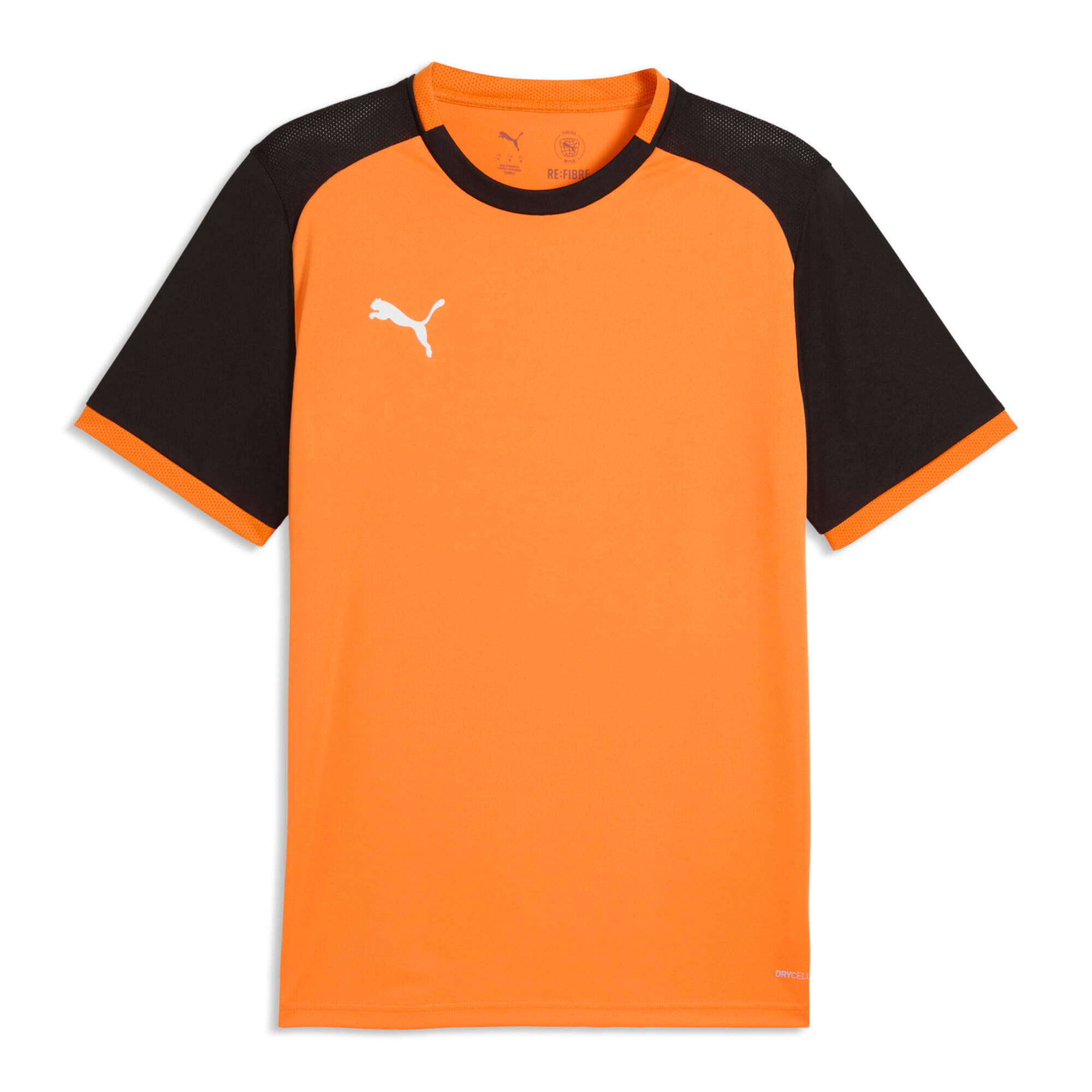 PUMA picture