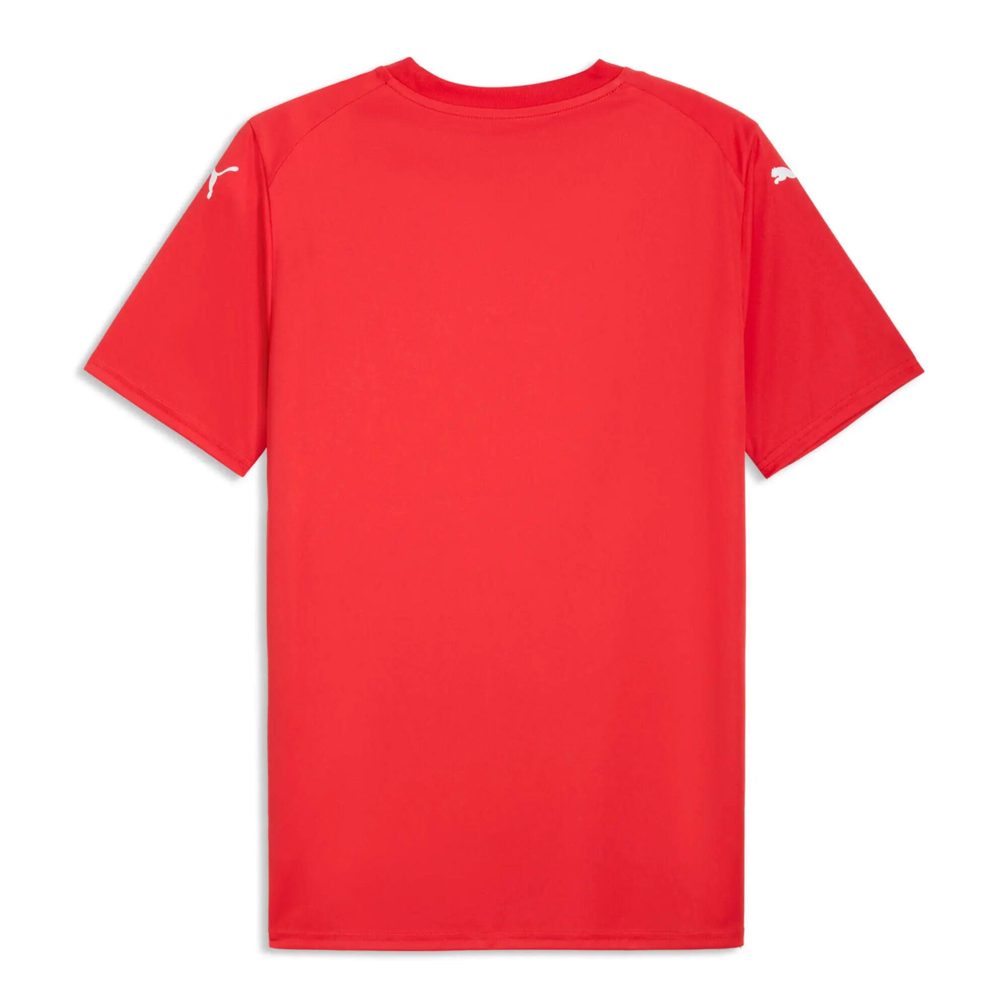 Maillot Puma teamFINAL Graphic 3/3