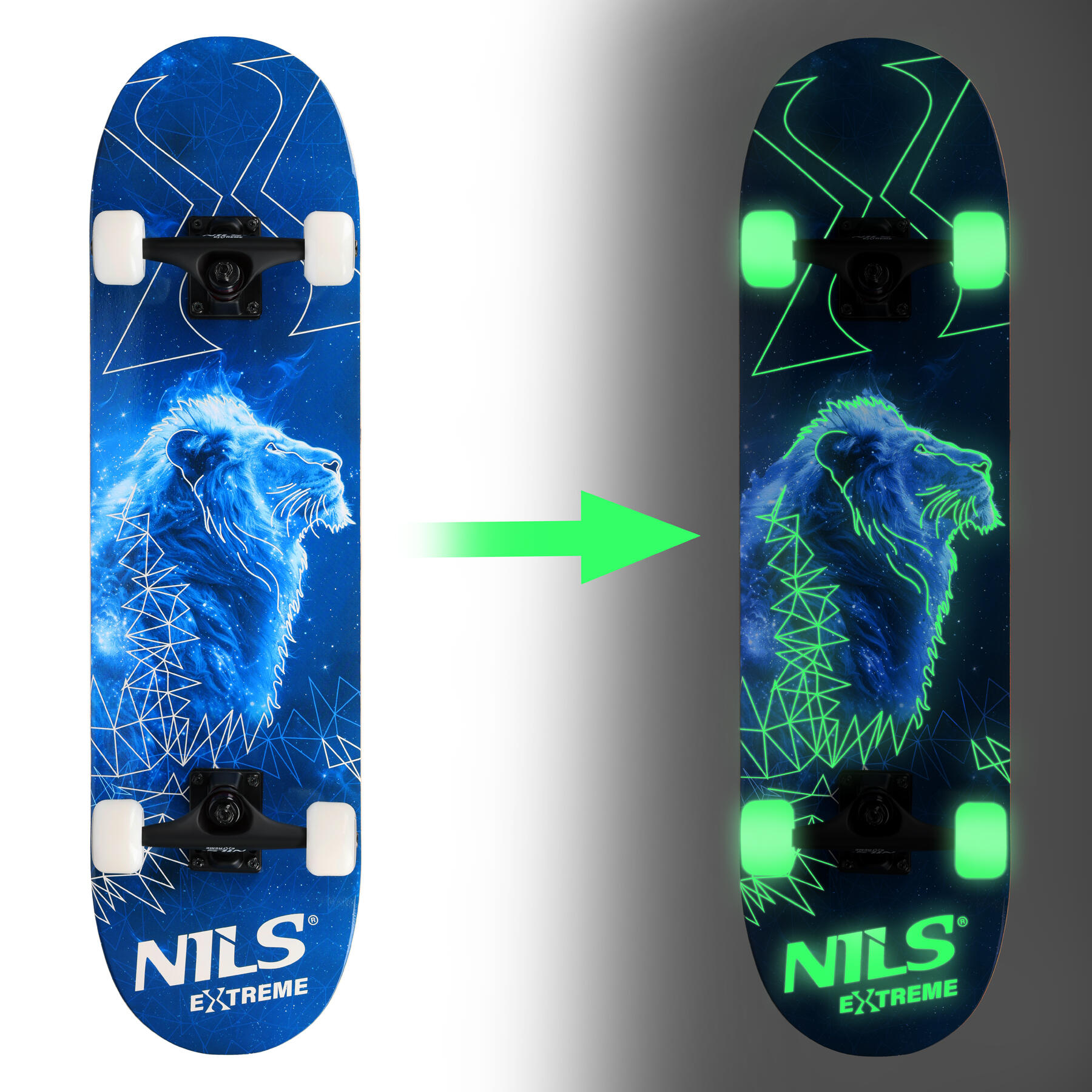 Skateboard NILS Extreme CR3108SA Lion 4/7