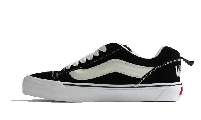 VANS picture