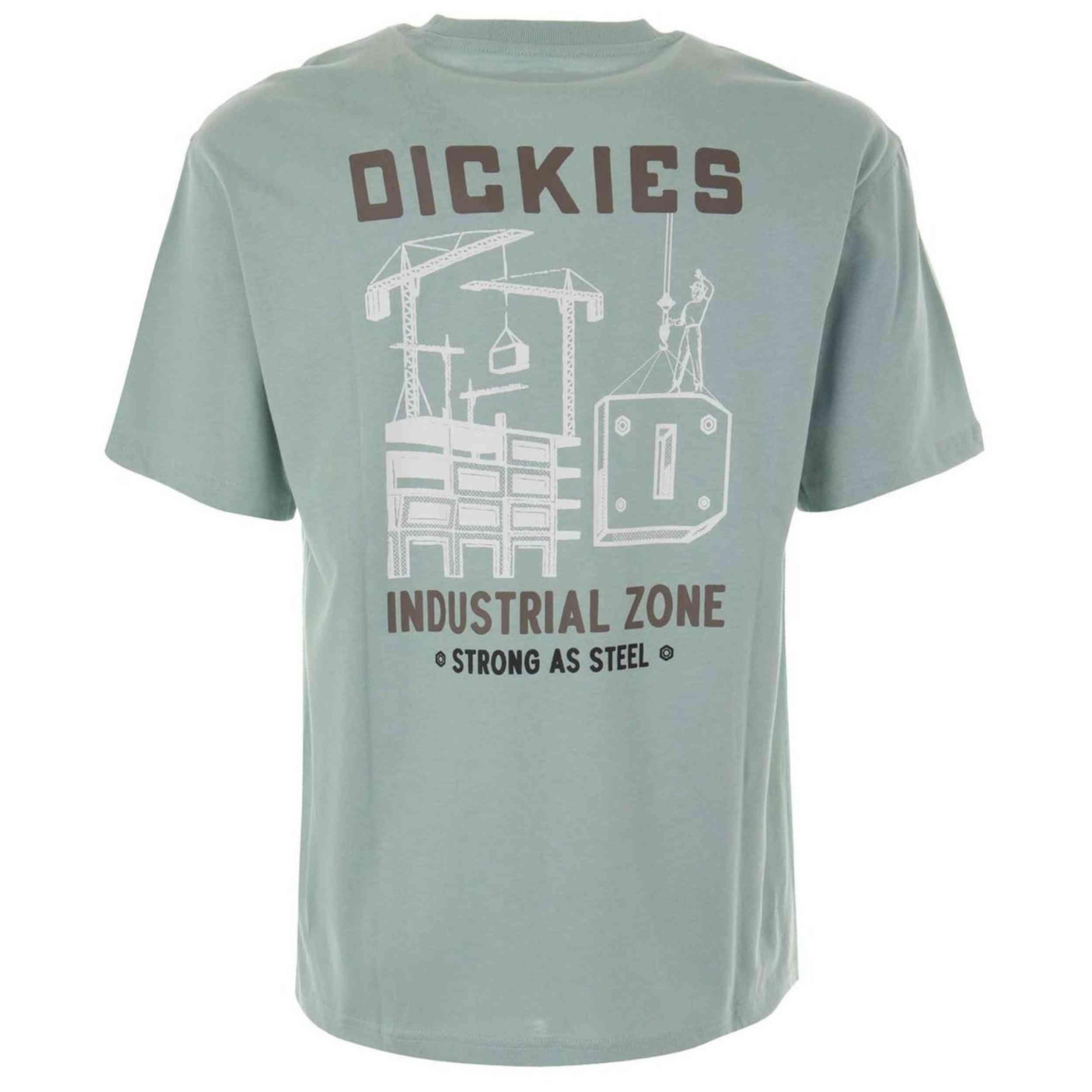 T-shirt met korte mouwen Dickies model DK0A8639J591 voor mannen 2/2