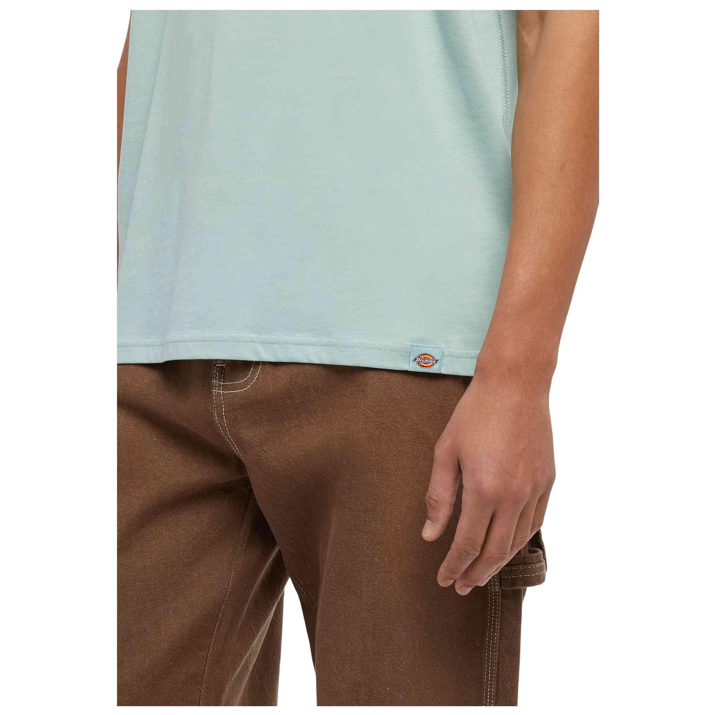 T-shirt Dickies modelo DK0A863DJ591-L para homem 5/5