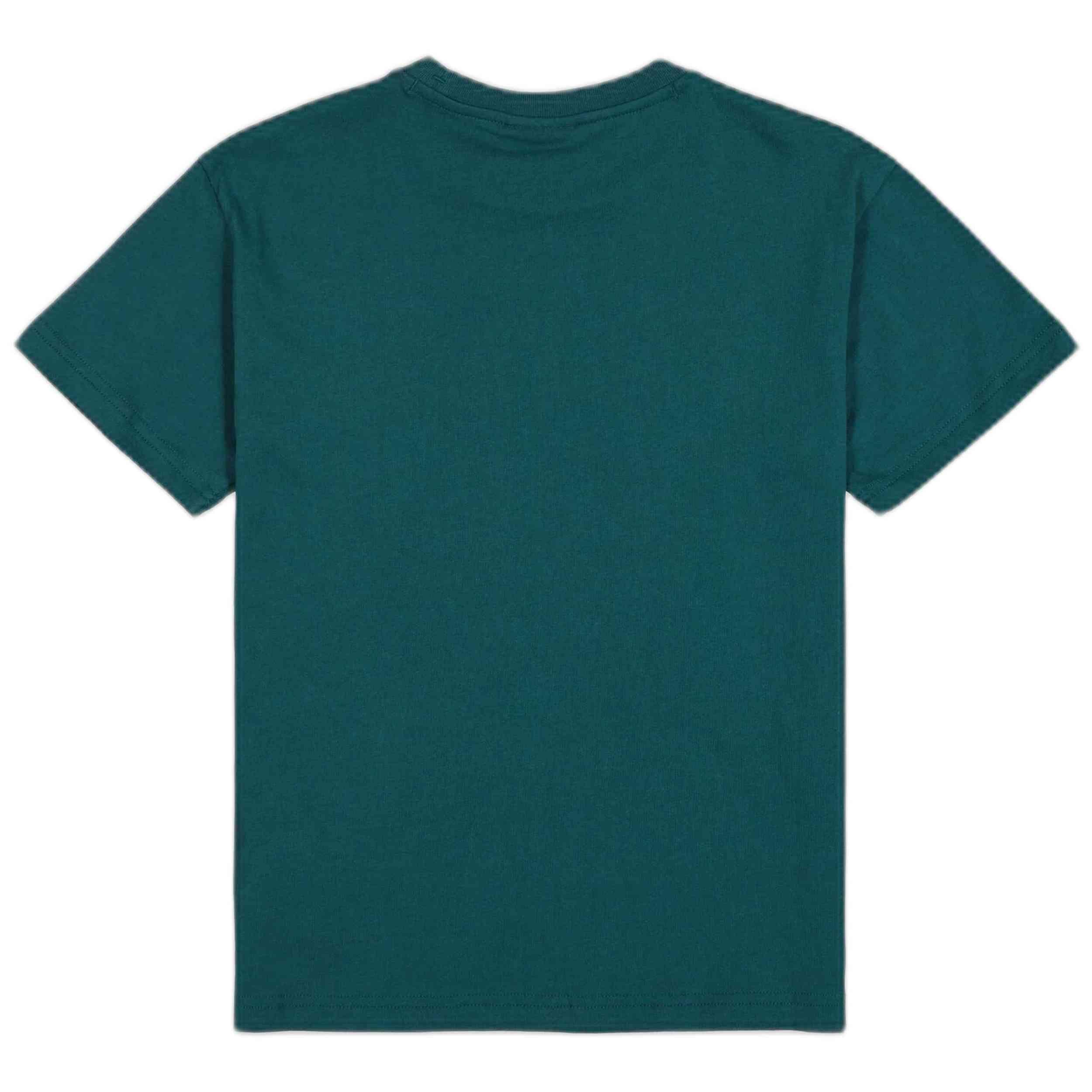 T-shirt Champion modèle 307110-GS579 pour enfants 2/3