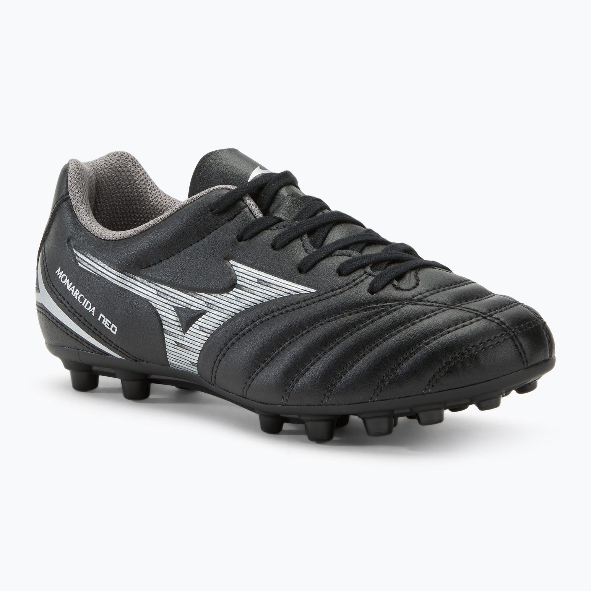 MIZUNO picture