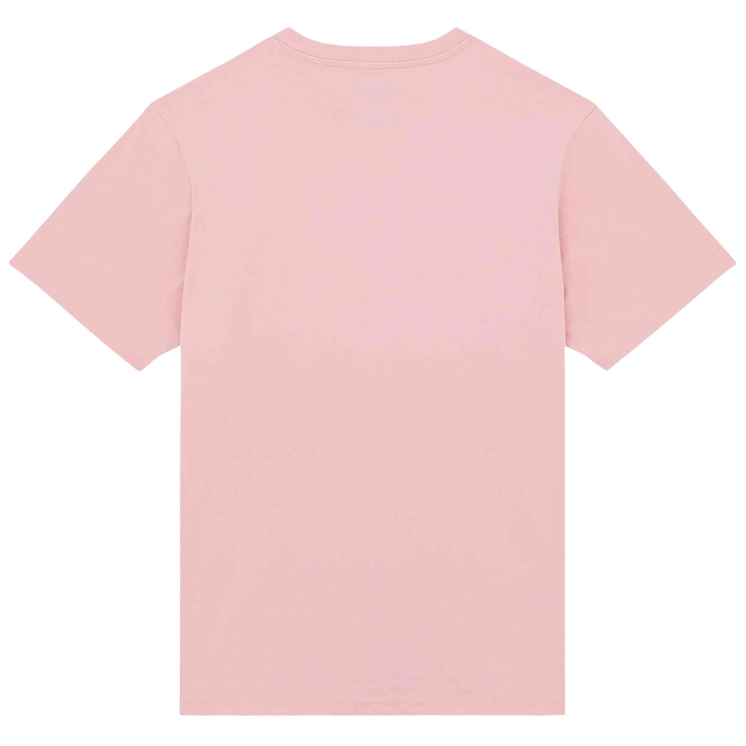 T-shirt met korte mouwen Dickies model DK0A4XDAL471 voor vrouwen 3/5