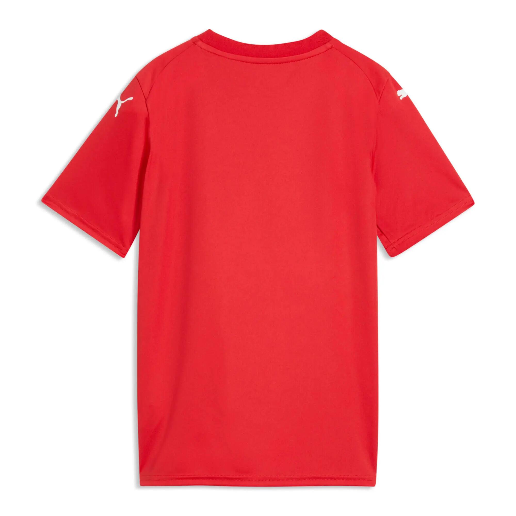 Maillot enfant Puma teamFINAL Graphic 3/3