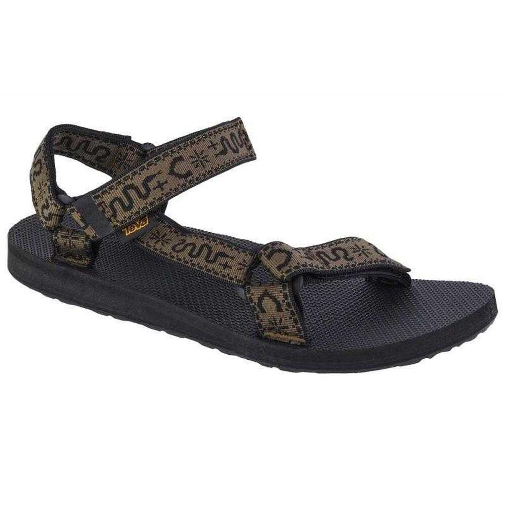 TEVA picture