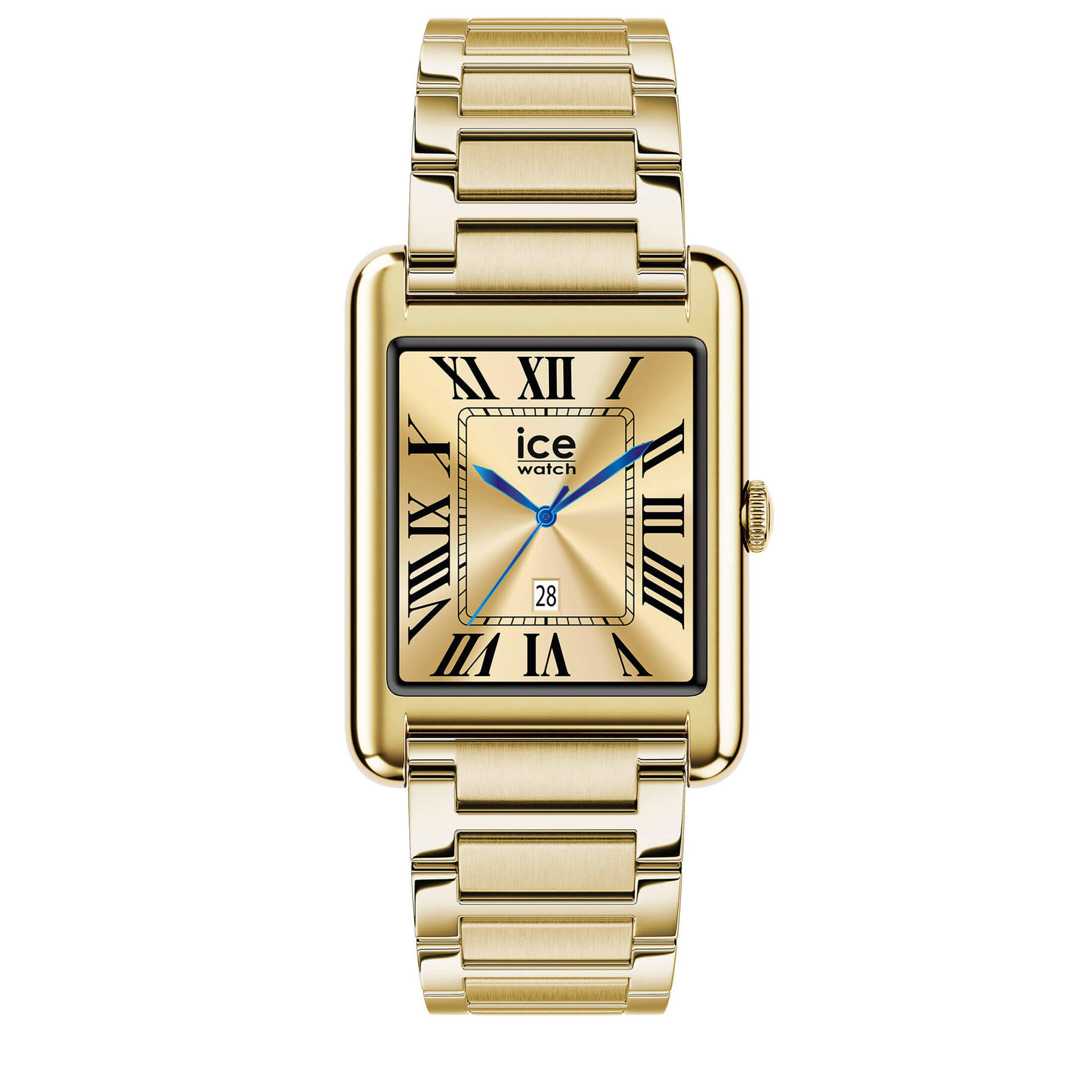 ICE WATCH picture