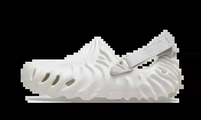 CROCS picture