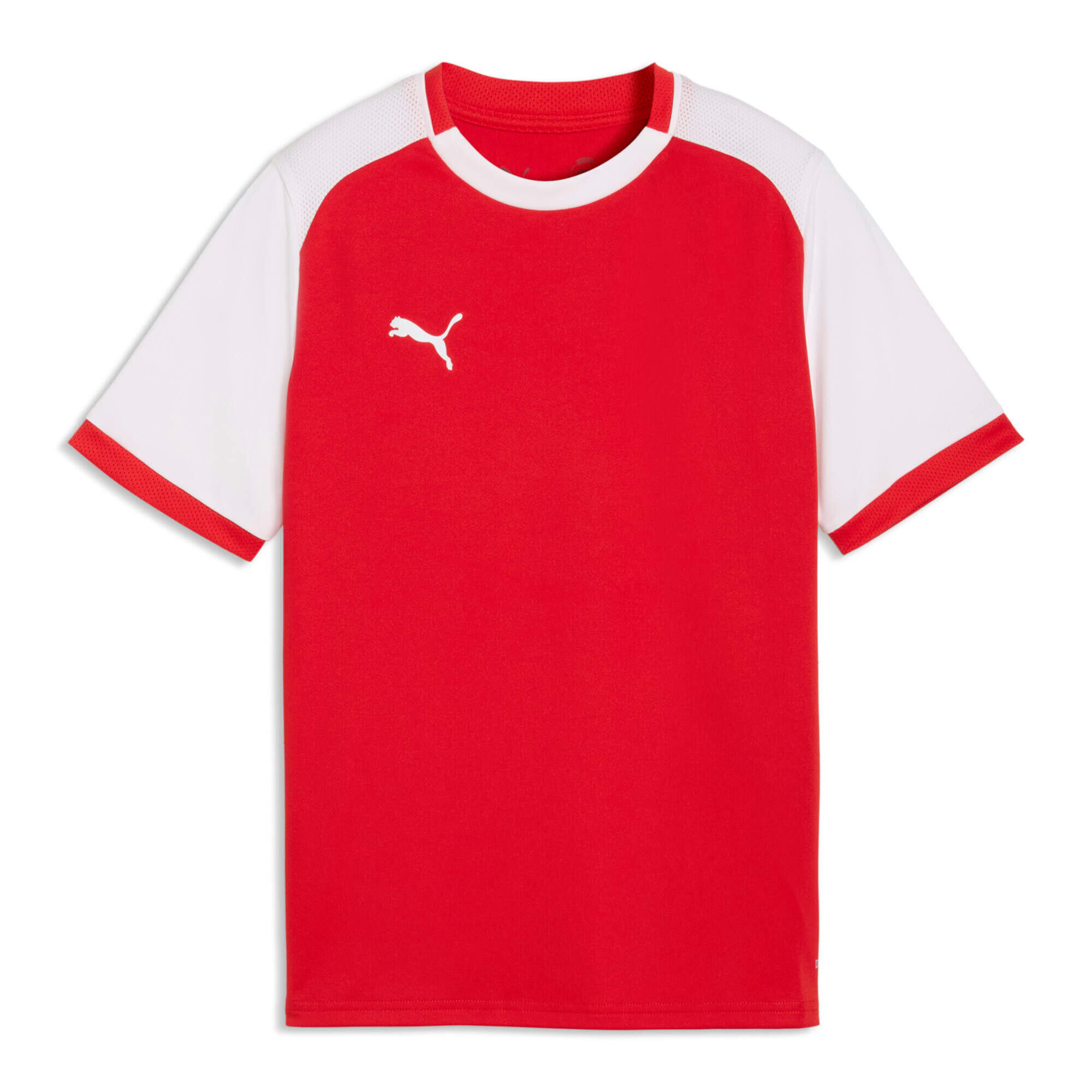 PUMA picture
