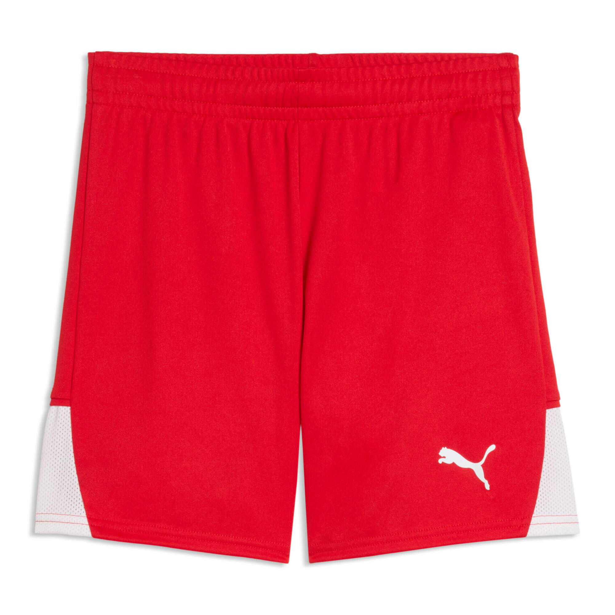 PUMA picture