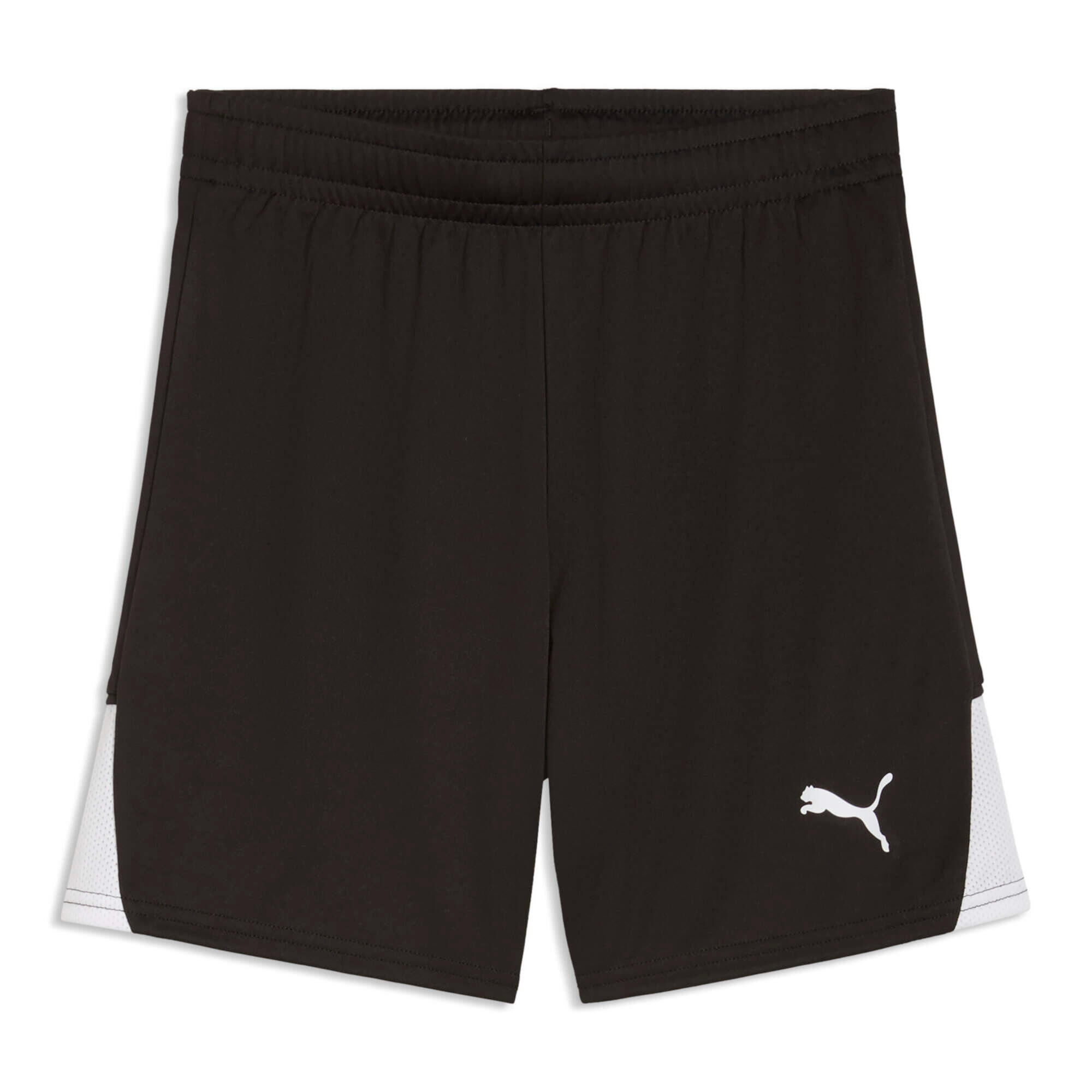 PUMA picture