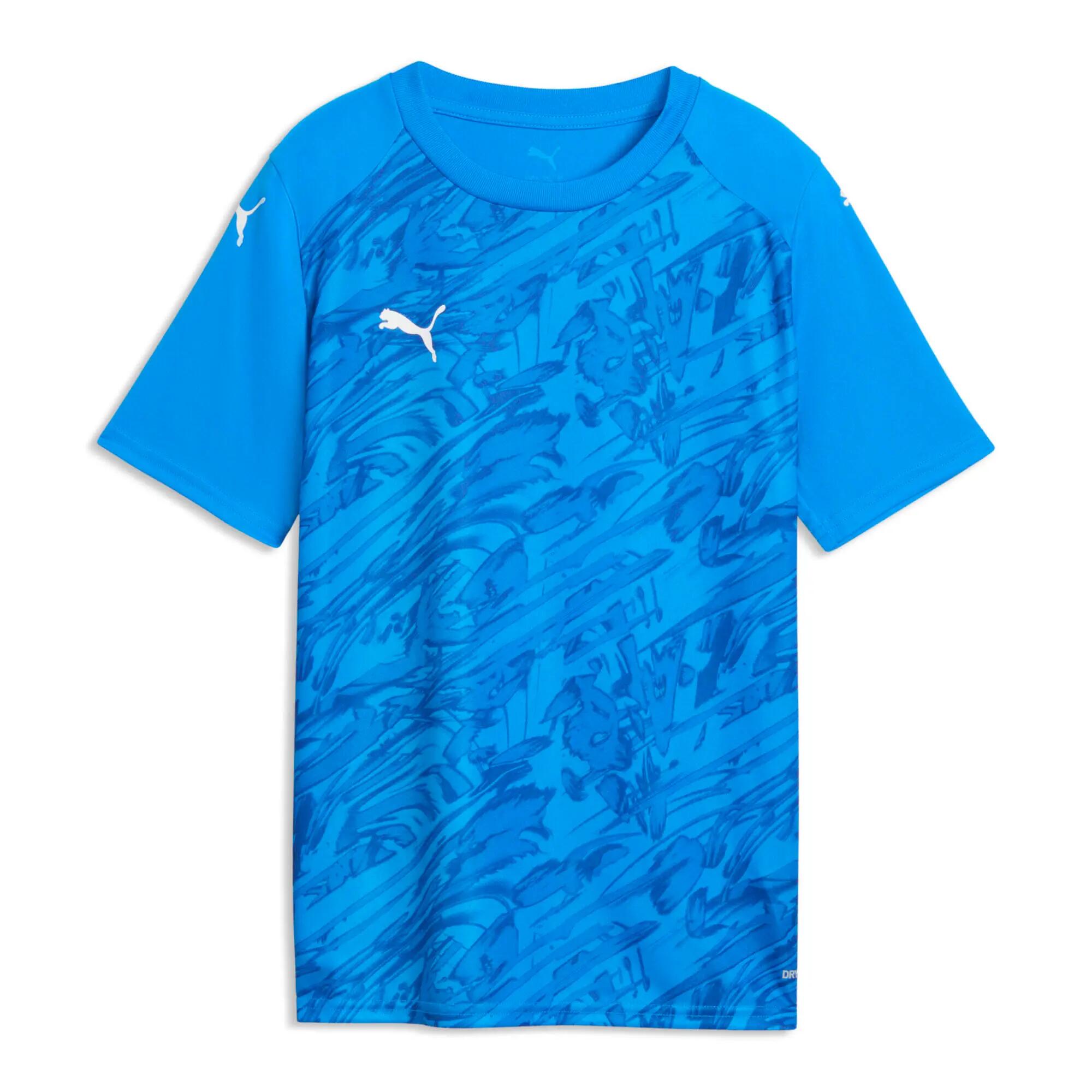 PUMA picture