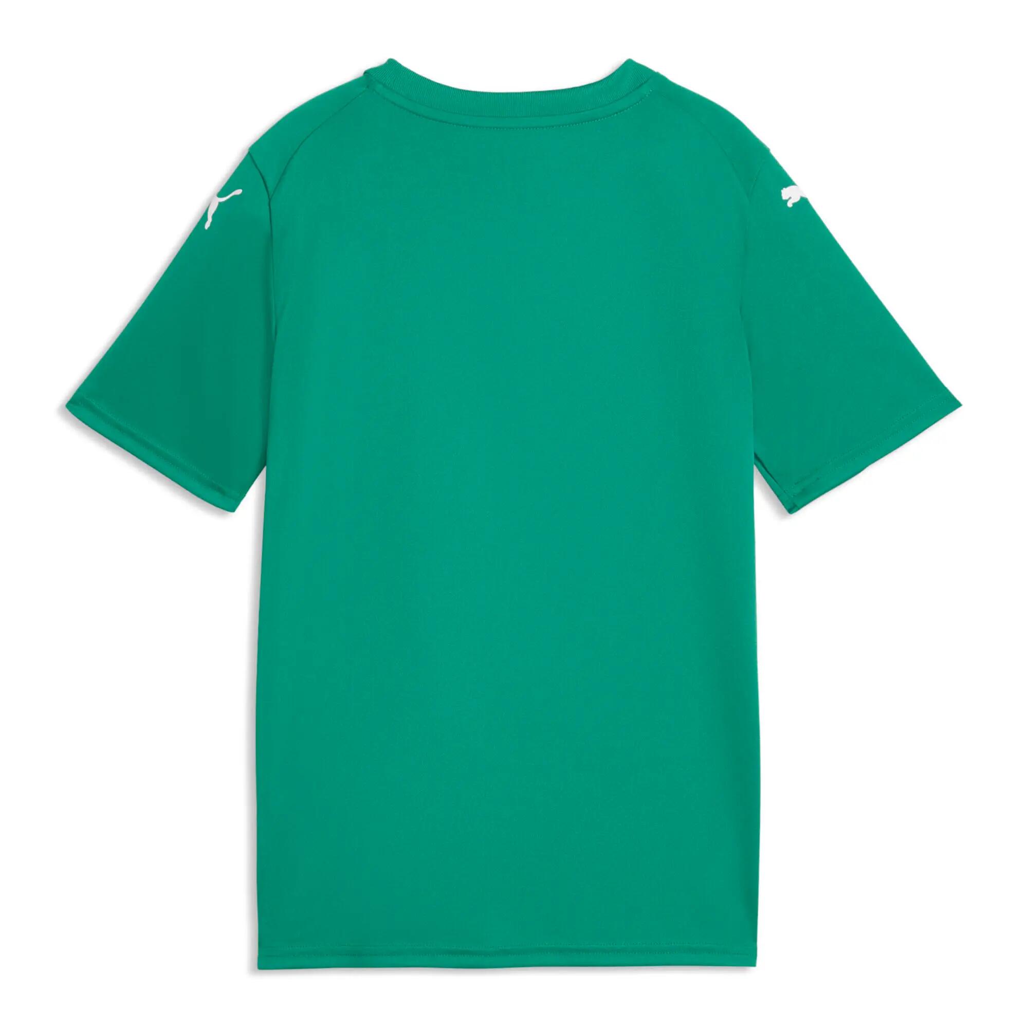 Maglia per bambini Puma teamFINAL Graphic 3/3