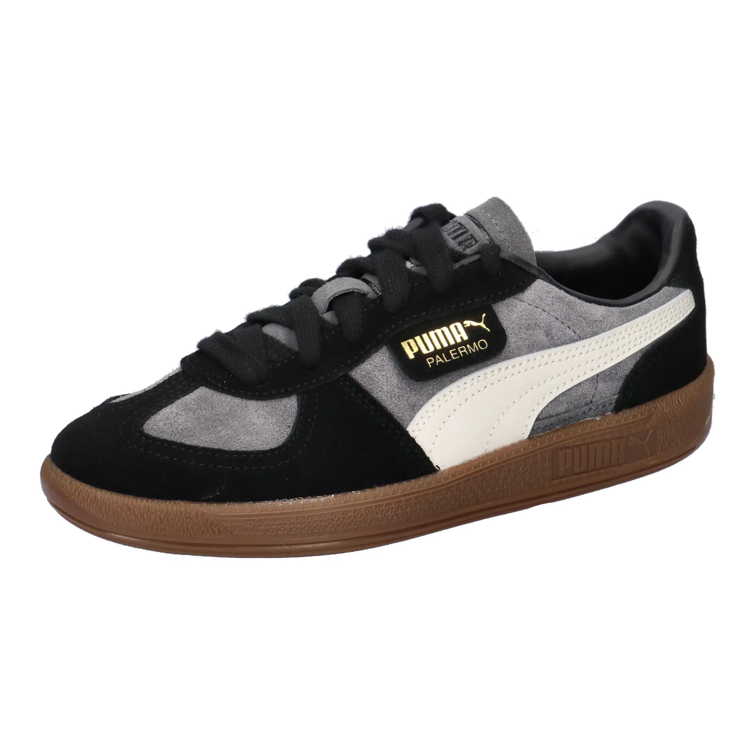 PUMA picture