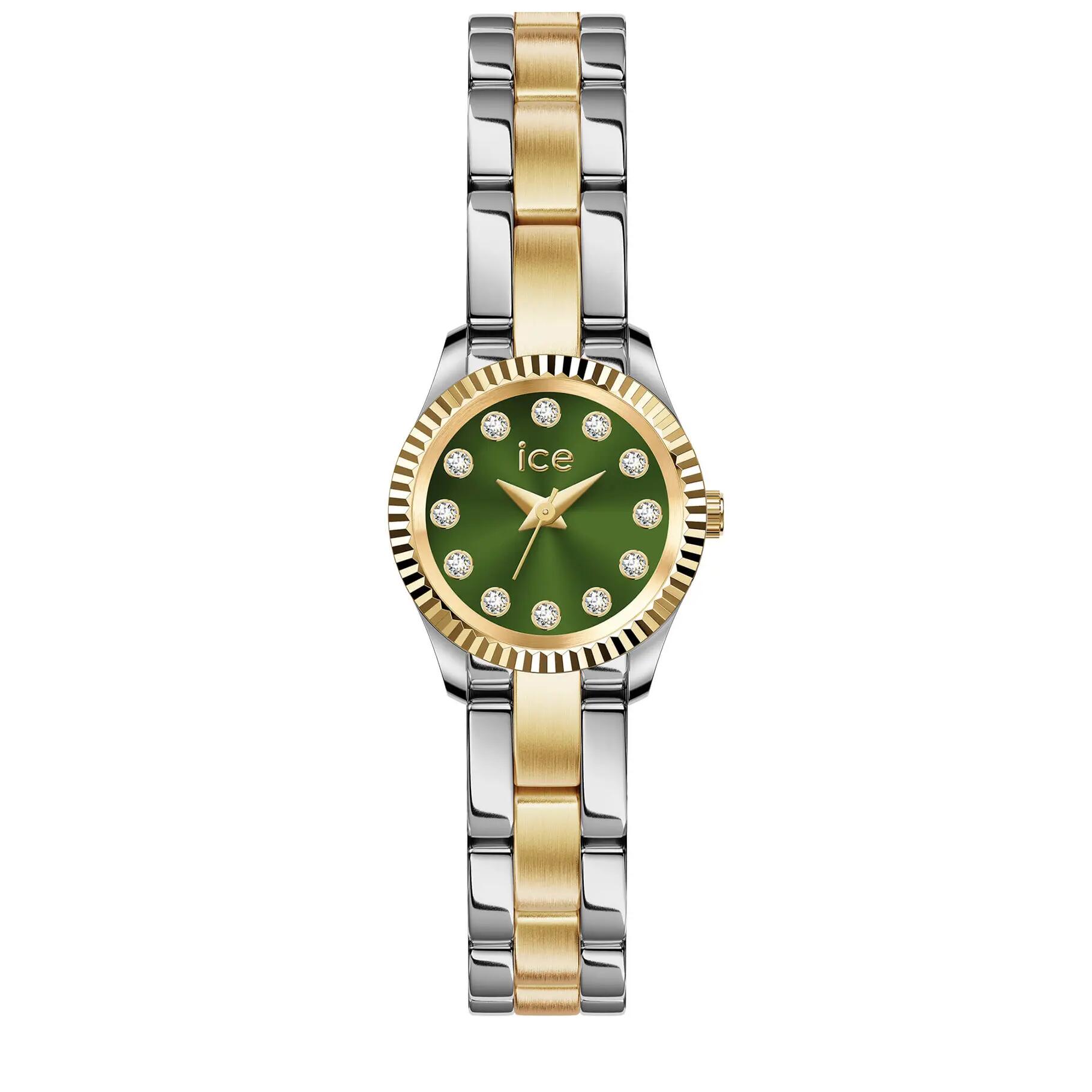 ICE WATCH picture