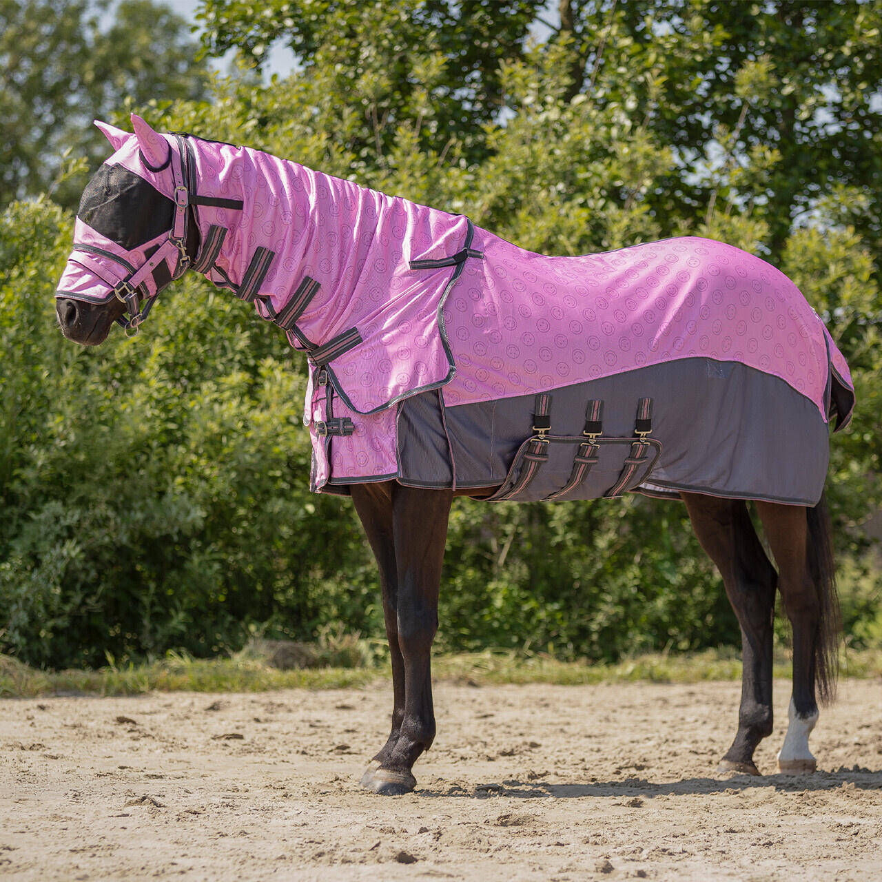QHP Vliegendeken Collection met Hals & Masker - Cheery Pink