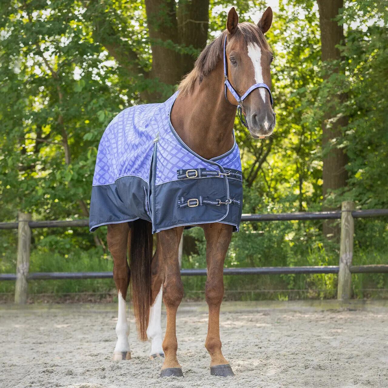 Couverture imperméable collection pour cheval QHP 0 g 2/3