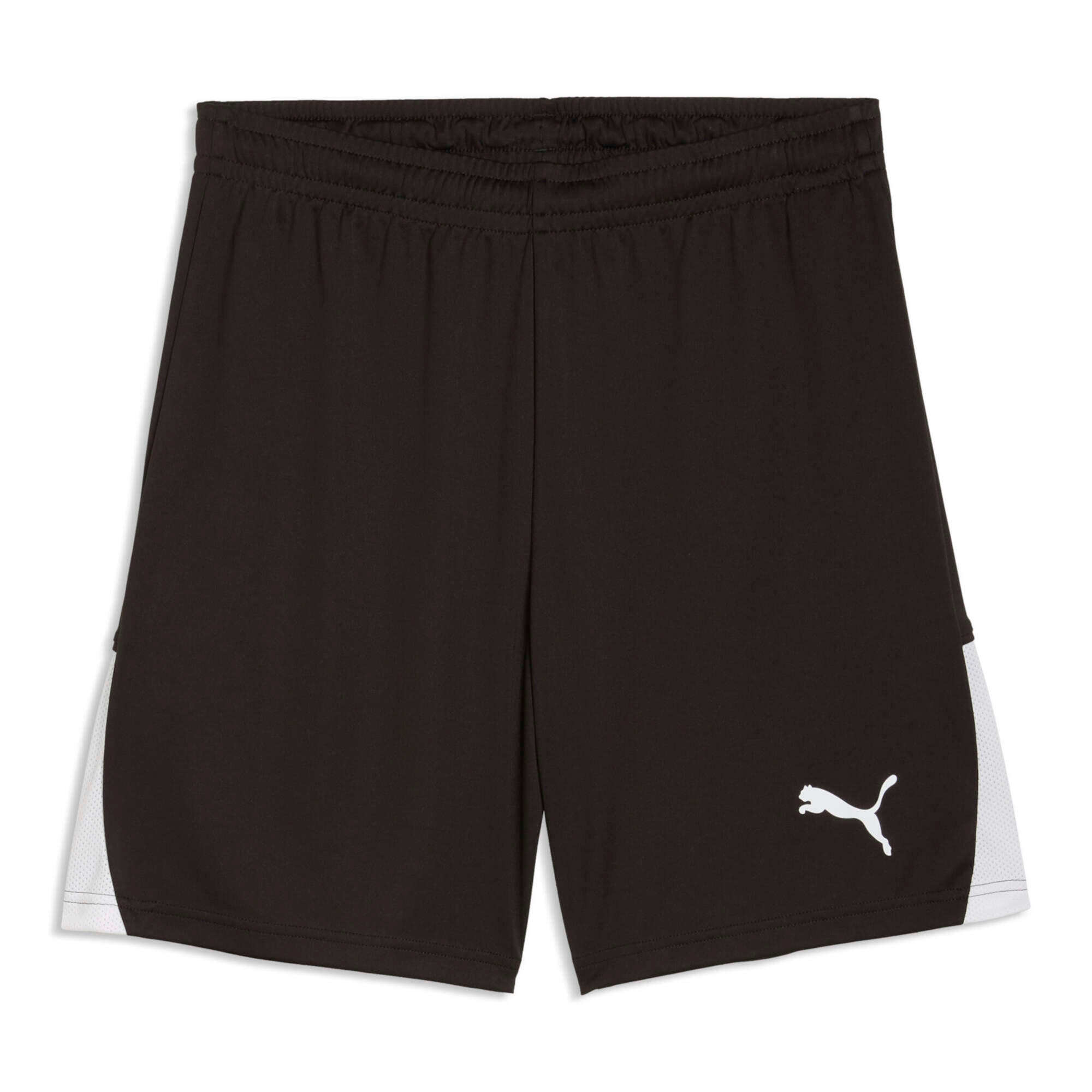 PUMA picture