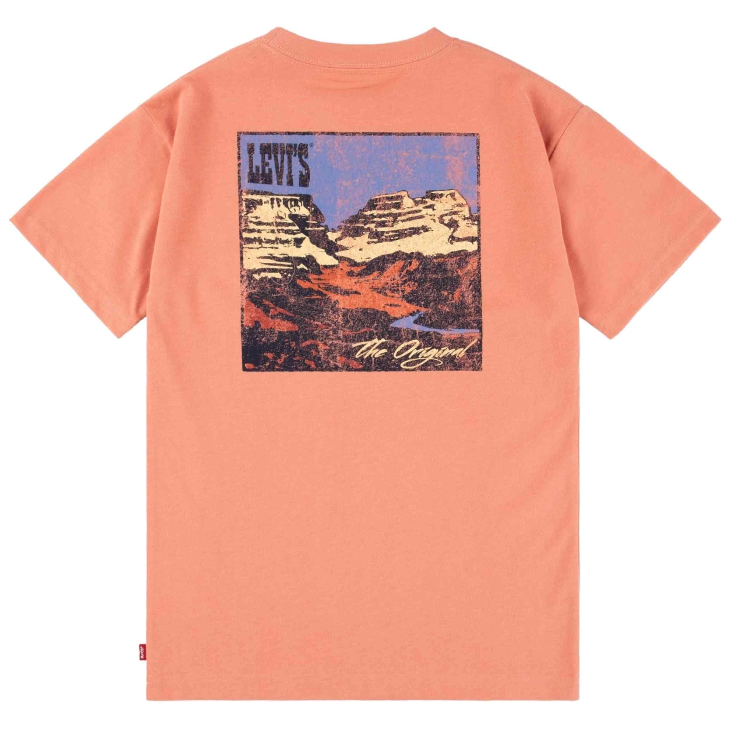 Camiseta de manga corta Levi's modelo 8EM301-N8G para niños 2/4