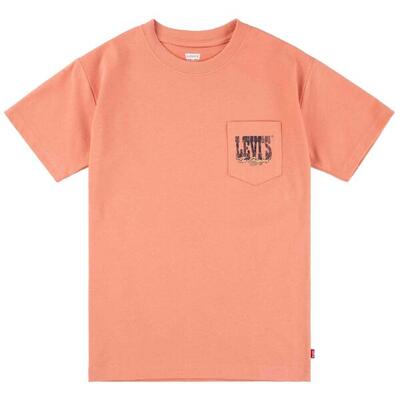 T-shirt met korte mouwen levi's model 8em301-n8g voor jongens