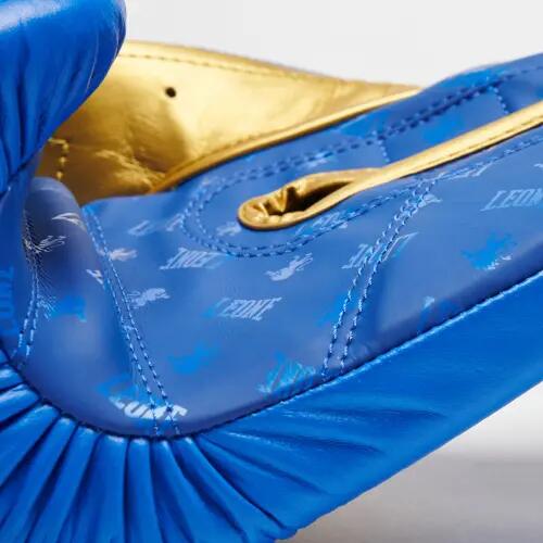 Guantes de boxeo Leone DNA 3/7