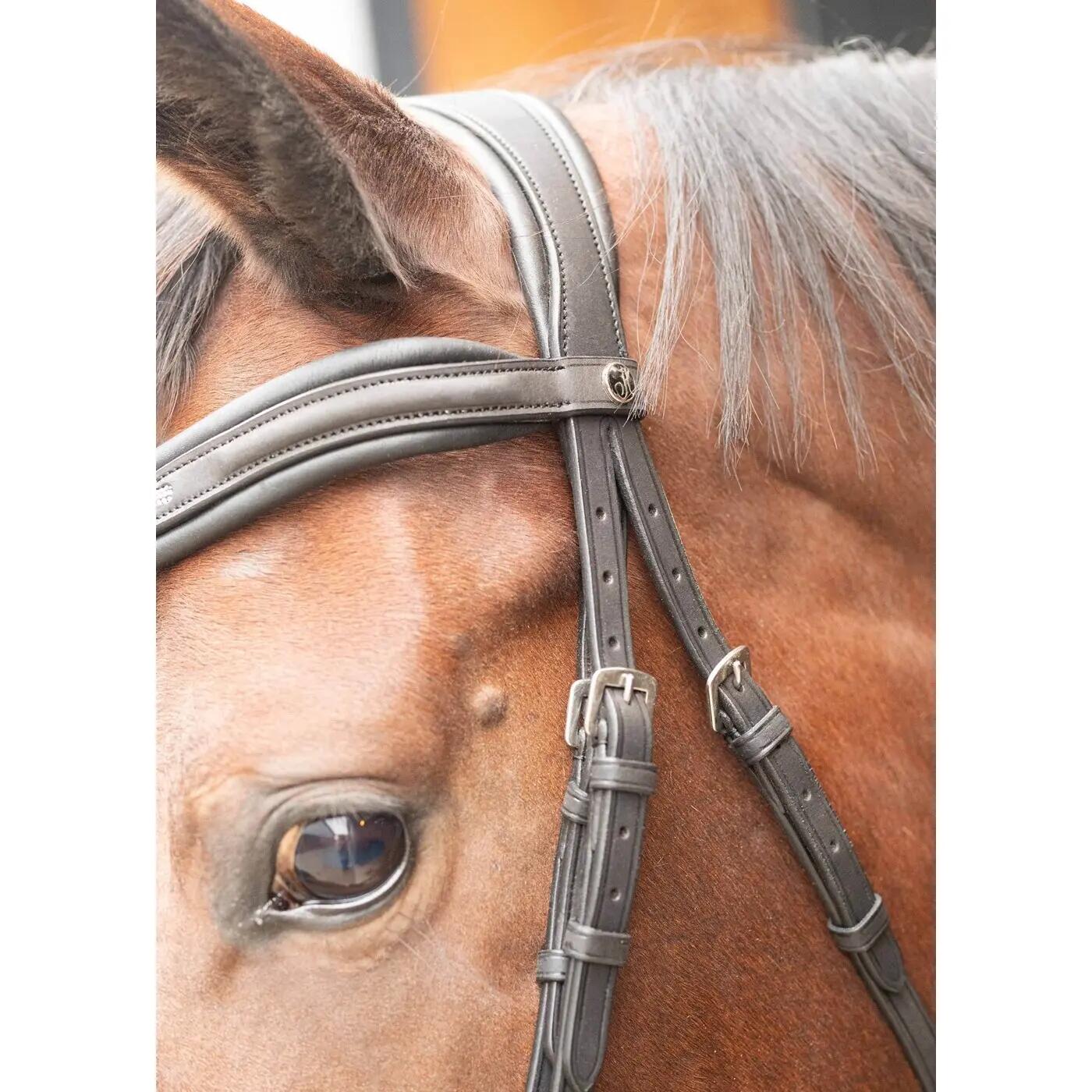 Ligne double fente Rosegold - Marine 4/4