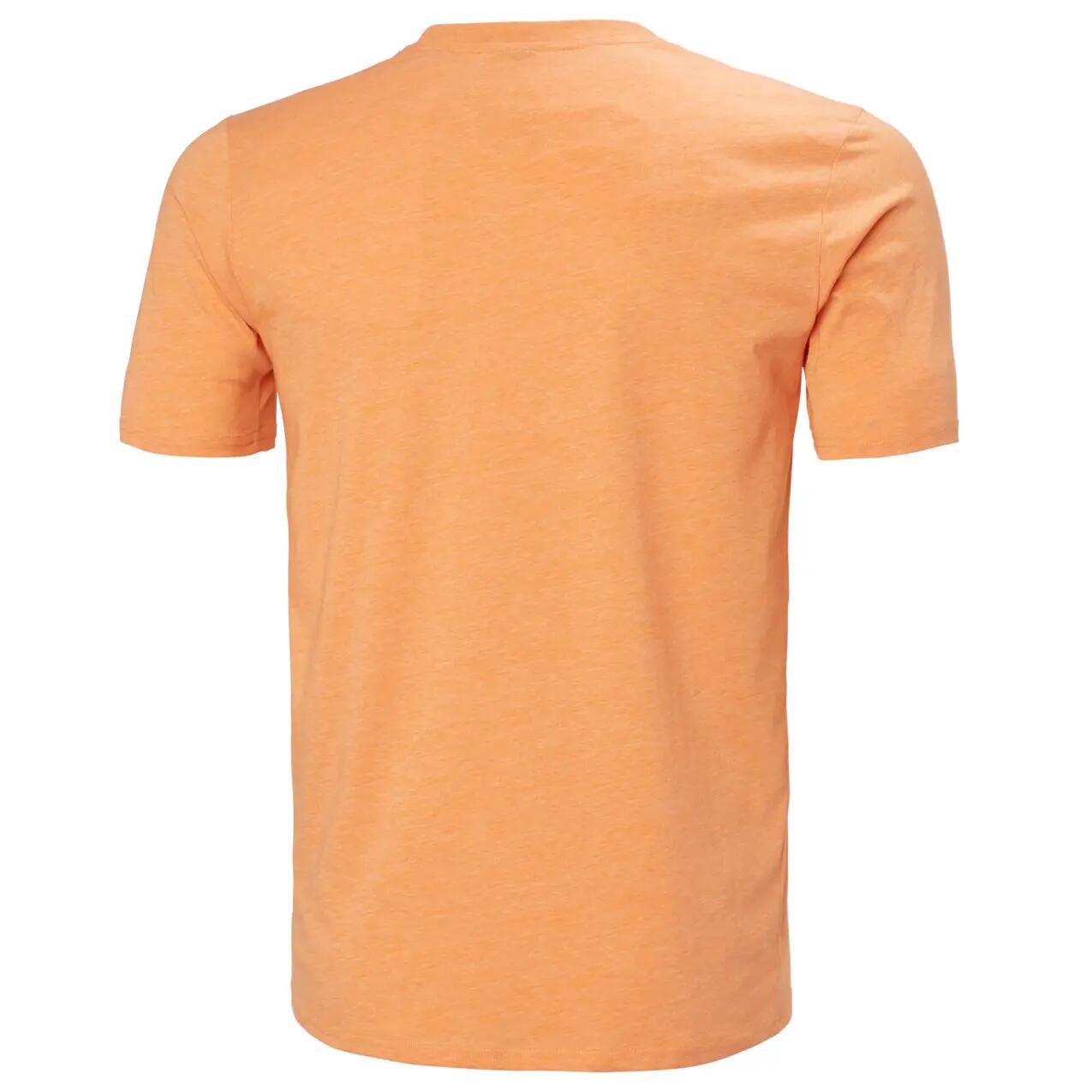 T-shirt Helly Hansen Logo 3/6