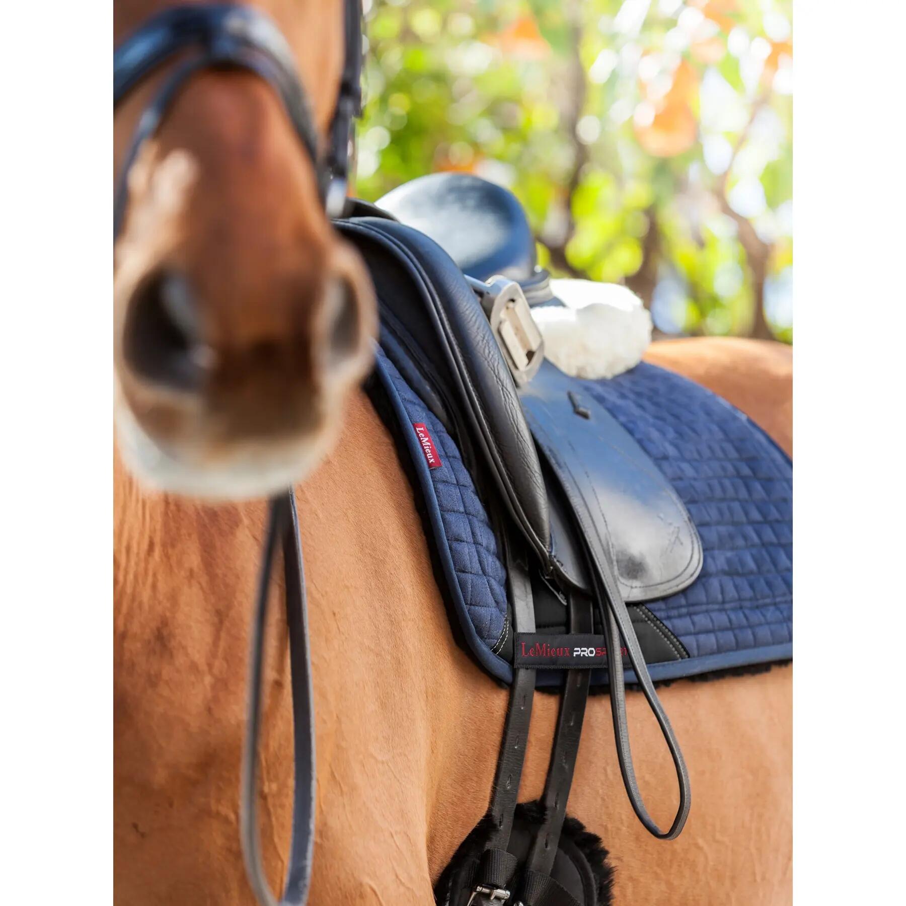 Dressuurmat voor paarden LeMieux Sensitive 2/2