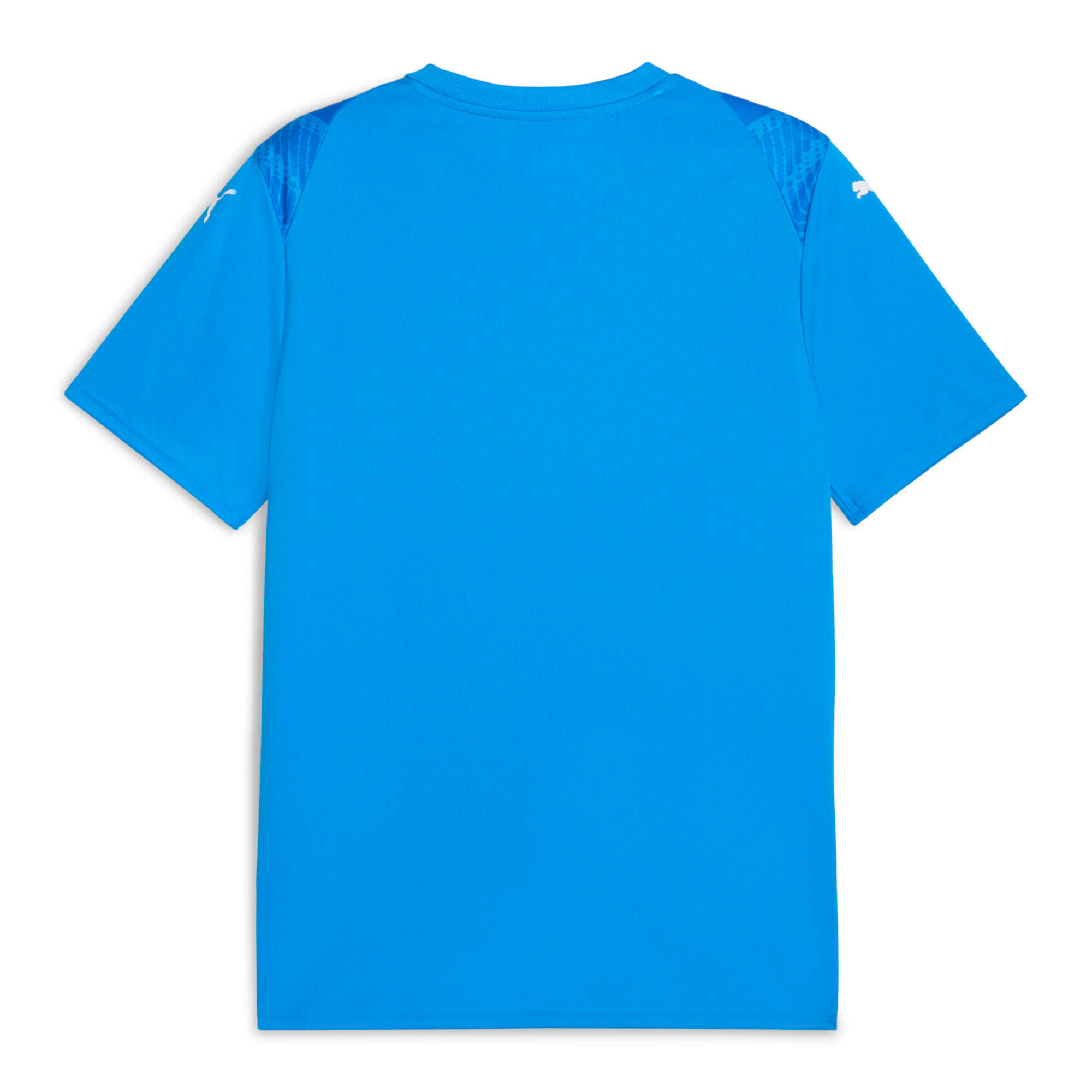 Maillot Puma TeamUltimate 2/2