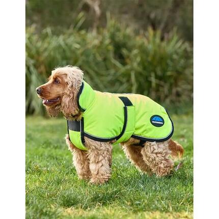 Hundemantel Weatherbeeta Comfitec Reflective Deluxe 300D