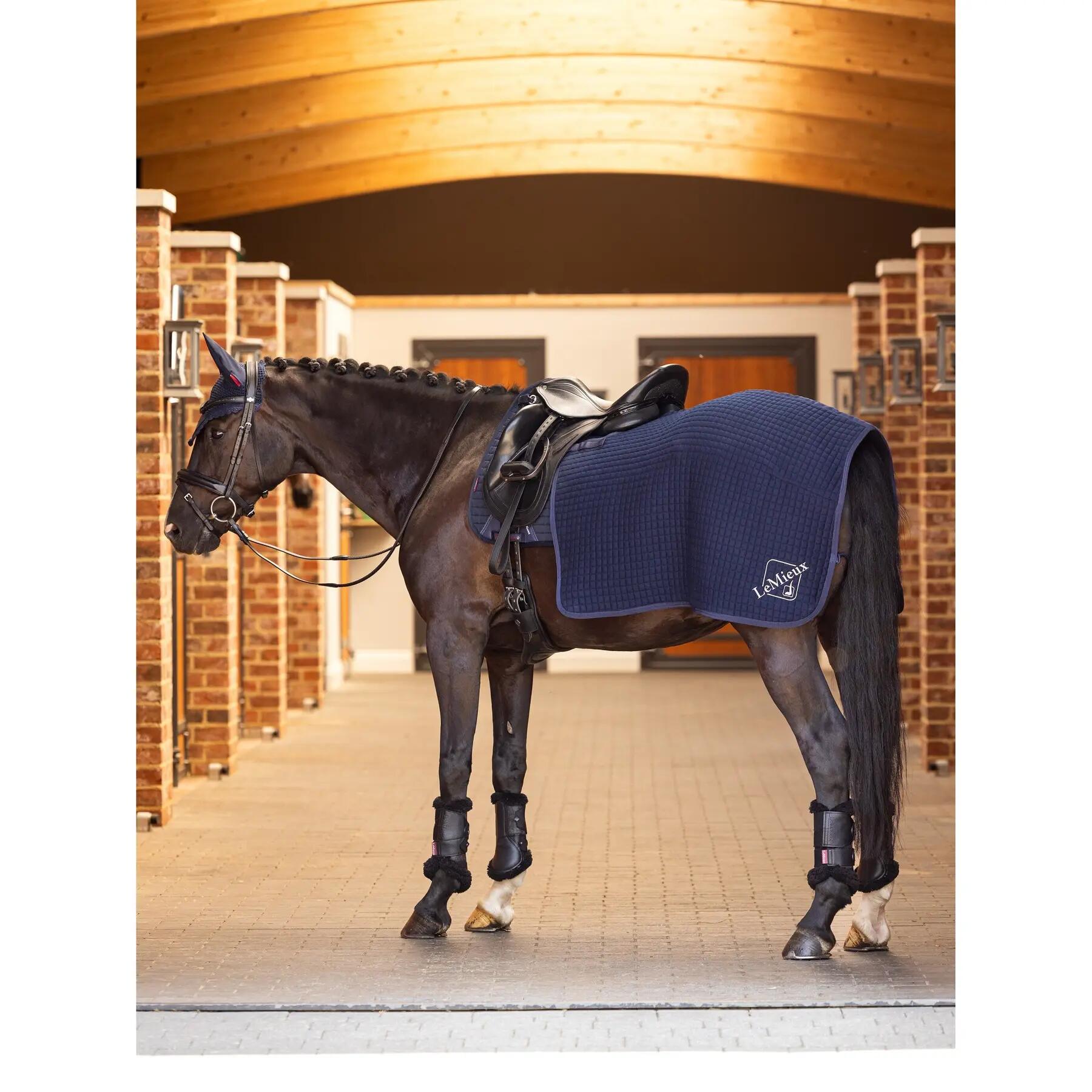 Fleece paardendekens LeMieux Arika Clima-Tek 2/4