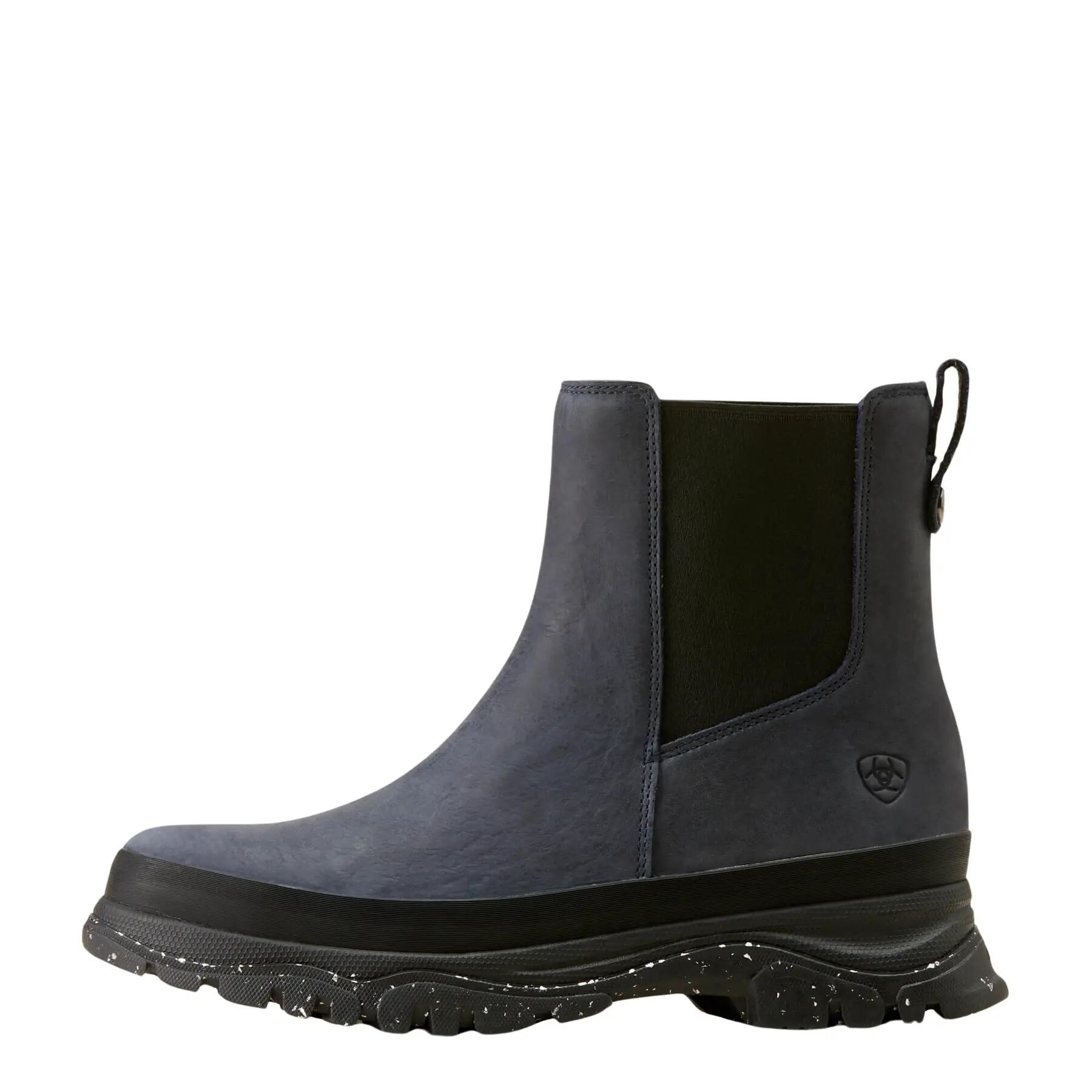 ARIAT picture