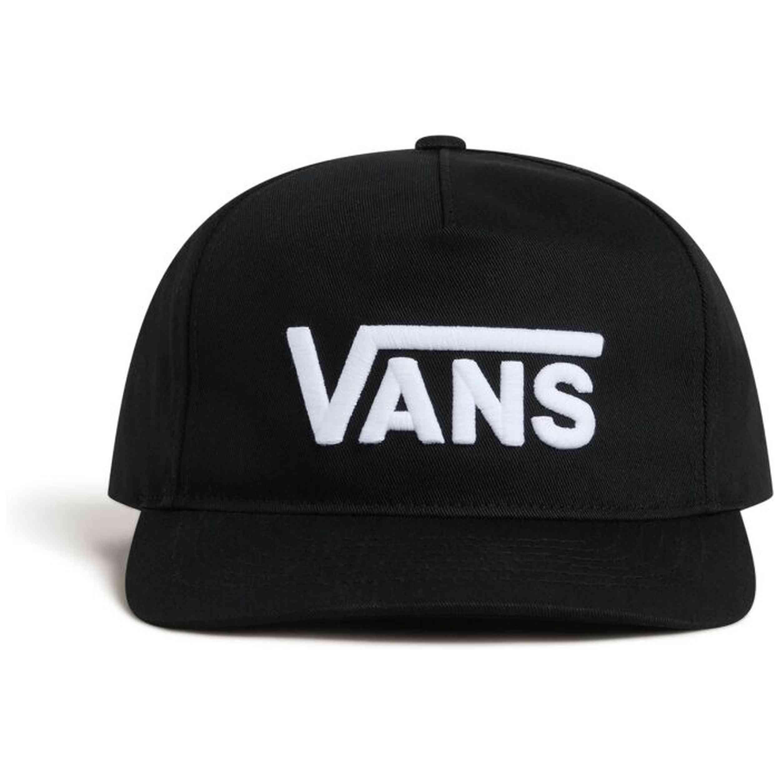 VANS picture