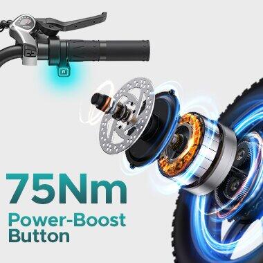 Bicicletta elettrica per adulti ENGWE L20 Boost Batteria 48V 13Ah 6/13